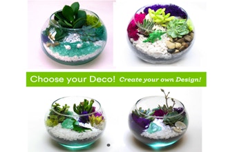 Plant Nite: Choose your Deco - Rose Bowl